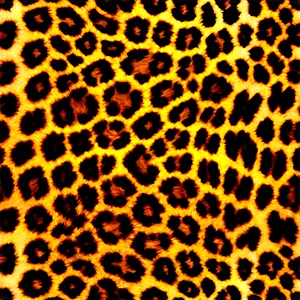 Animal Print C