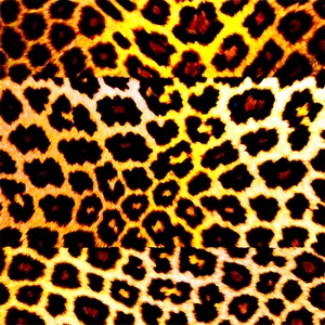 Animal Print Carpet PNG Myu52