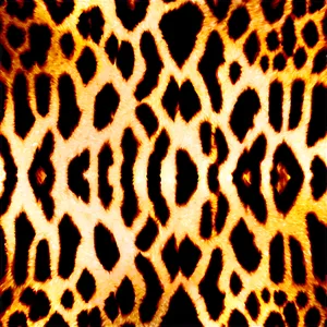 Animal Print Carpet PNG Ygk