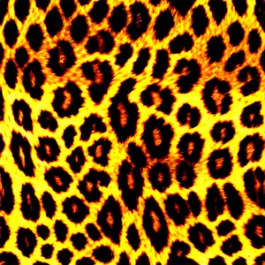 Animal Print Clipart PNG 06252024
