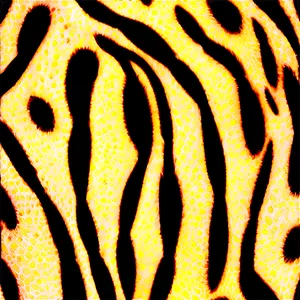 Animal Print Design PNG 32