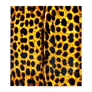 Animal Print Design Png 92 PNG image