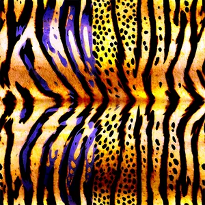 Animal Print Icon PNG 22