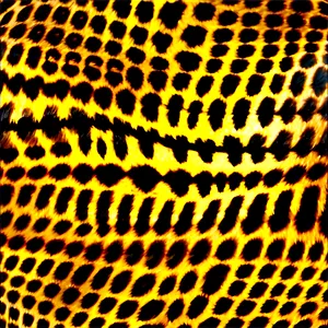 Animal Print Logo PNG Knv