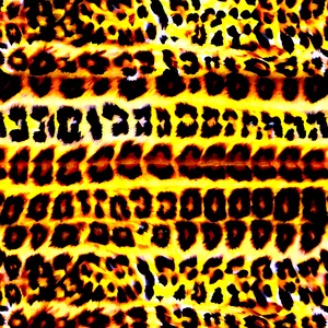 Animal Print Scrapbook PNG 06252024