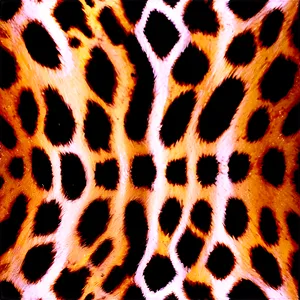 Animal Print Square Png 06252024 PNG image