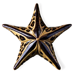Animal Print Star PNG 59