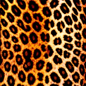 Animal Print Wallpaper PNG Ofl