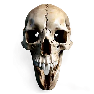 Animal Skull On Black Background PNG Ype9 PNG