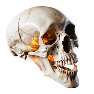Animal Skull On Fire PNG 64