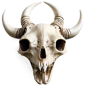 Animal Skull Png Pou84 PNG image