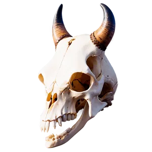 Animal Skull Profile View Png Gqh78 PNG image