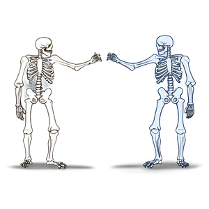 Animal Vs Human Skeleton PNG Tci PNG