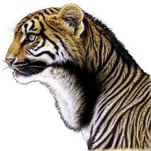 Animal Wall Decor PNG Pxr