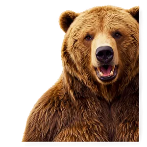 Animated Bear Face Png 06292024 PNG image