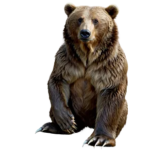 Animated Bear PNG 47
