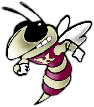 Animated Bee Character Illustration PNG image