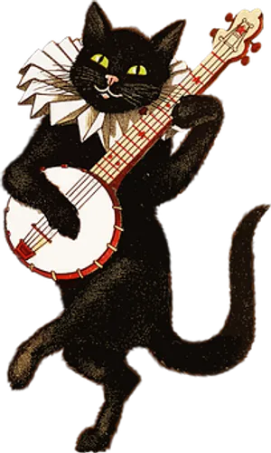 Animated Black Cat Playing Banjo
