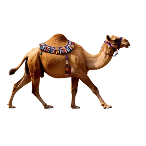 Animated Camel PNG Feu