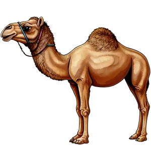 Animated Camel PNG Upj