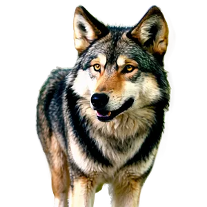 Animated Cartoon Wolf PNG Eay86