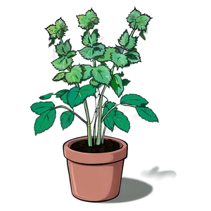 Animated Catnip Plant Png 99 PNG image