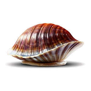 Animated Clam Character Png 05242024 PNG image