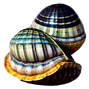 Animated Clam Character Png 05242024 PNG image