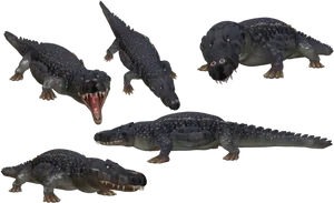 Animated_ Crocodile_ Poses PNG image