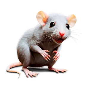 Animated Cute Rat Png 06252024 PNG image