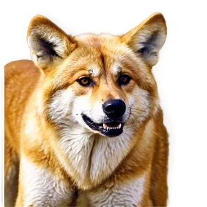 Animated Dingo Picture Png 3 PNG image