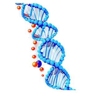 Animated Dna Spiral PNG 05242024 PNG