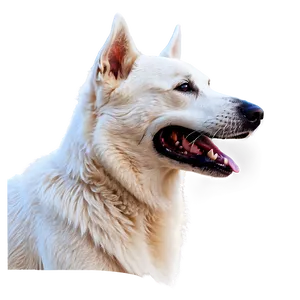 Animated Dog Head Graphic Png Brn5 PNG image