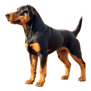 Animated Dogs PNG Etv4