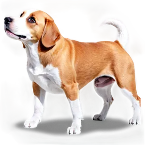 Animated Dogs PNG Fkd
