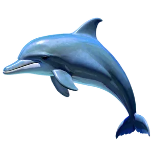 Animated Dolphin Png 10 PNG image