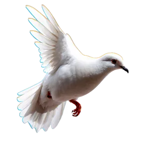 Animated Dove PNG 92 PNG