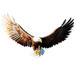 Animated Eagle Wings Png Duv56 PNG image