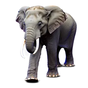 Animated Elephant Cartoon Png Lqx PNG image