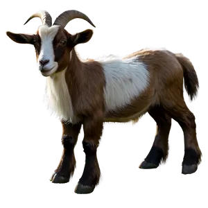 Animated Goat Png 05232024 PNG image