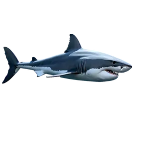 Animated Great White Shark Png 06122024 PNG image