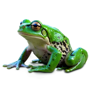 Animated Green Frog Png 06272024 PNG image