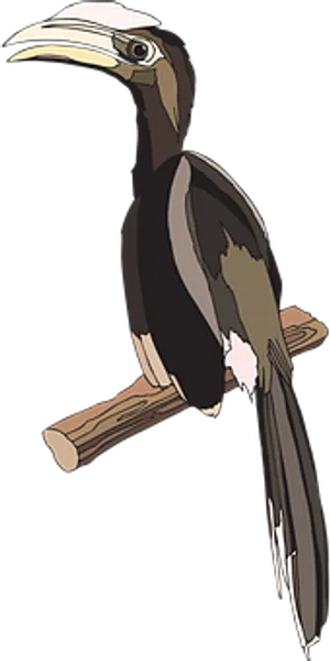 Animated Hornbill Perchedon Branch
