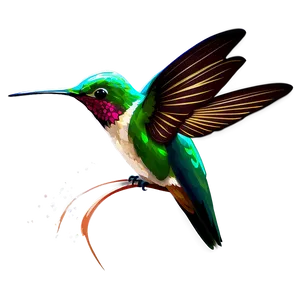 Animated Hummingbird Png 25 PNG image