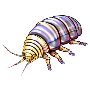 Animated Isopod Png Qin53 PNG image