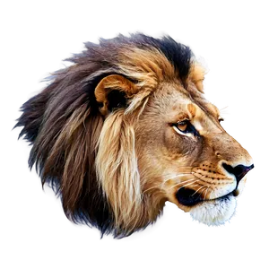 Animated Lion Face Png 06122024 PNG image