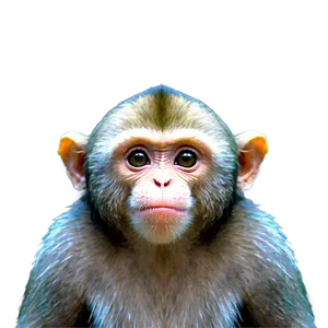Animated Monkey Face Gif PNG Lkl69 PNG