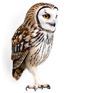 Animated Owl Png Tkp23 PNG image