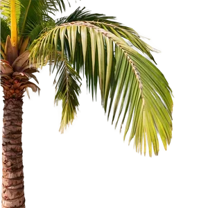Animated Palm Trees PNG Edj87