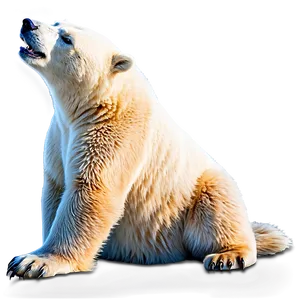 Animated Polar Bear Png Vte PNG image